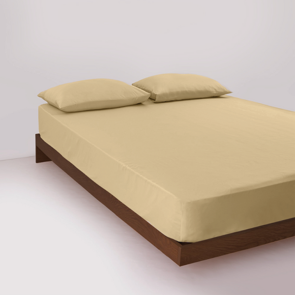 Percale Cotton, Fitted bed sheet set- Tan