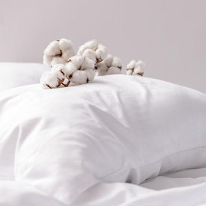 Organic Cotton pillow