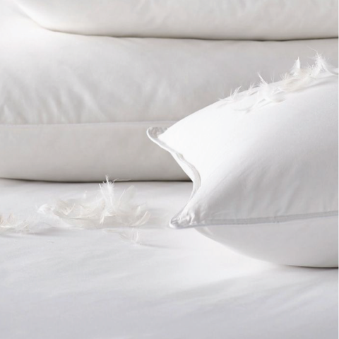 Natural Duck Feather Pillow, 50x70cm, 1000Gm